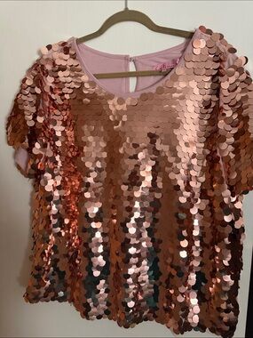 Anthropologie Rose Gold Sequin Short Sleeve Top